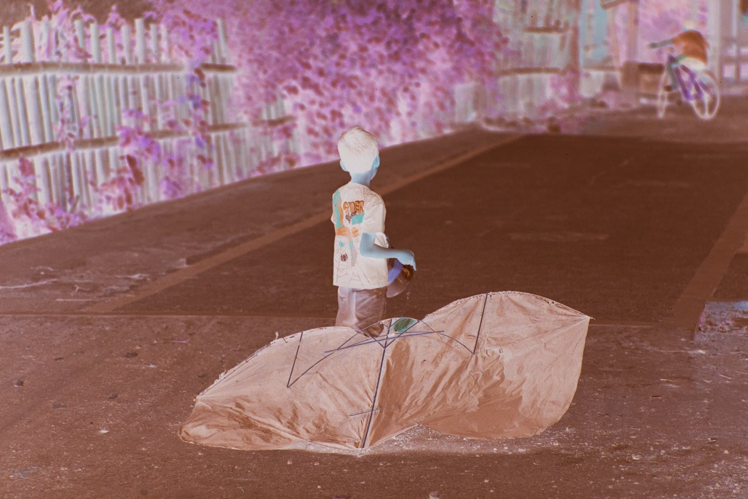 Scanned color negative before conversion